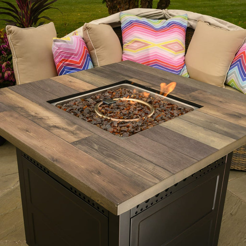 Endless Summer Harris LP Gas Outdoor Fire Pit with DualHeat Technology